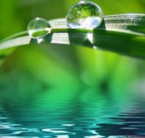 Hva er kildevann og hvordan skiller det seg fra mineralvann?